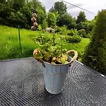 U Jany Lipno Nad Vltavou Lipenska Louka *